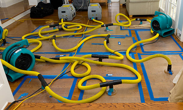 Professional Emergency Water Removal technician working in Elberta, UT